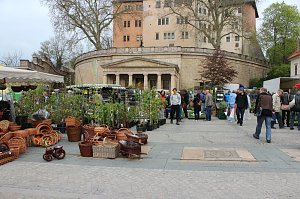 Gewimmel auf dem Pflanzenmarkt