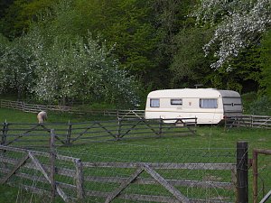Zu Besuch in Steinsee