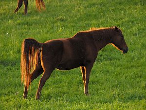 Zu Besuch in Steinsee