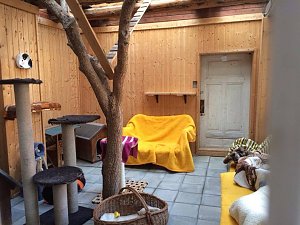Zum Fr&uuml;hlingsfest konnte der Tierschutzverein Nordhausen viele G&auml;ste begr&uuml;&szlig;en