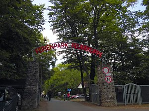 Pfingsten auf der Feuerkuppe