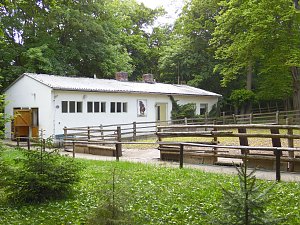 Pfingsten auf der Feuerkuppe