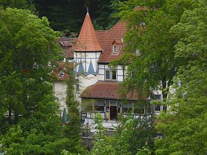 Besuch im Affenwald 