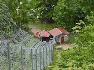 Besuch im Affenwald 