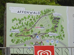 Besuch im Affenwald 