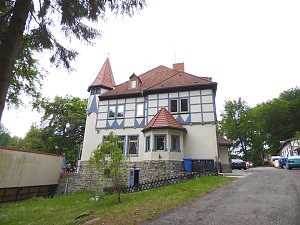 Besuch im Affenwald 