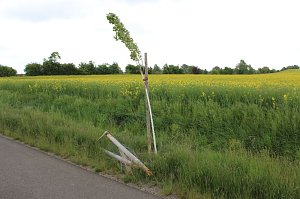 Vandalismus am Radweg?