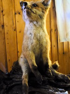 Besuch in der Obergrasm&uuml;hle