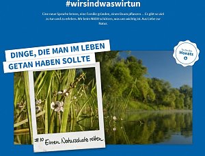 Beweidung