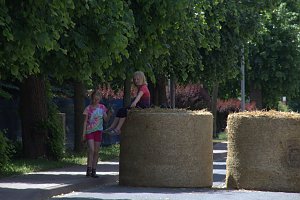 Areefest in Niedersachswerfen (der Samstag)