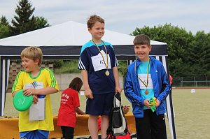 Ergebnisse der 5. Mini-WM
