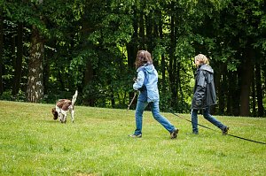 Mantrailing-Seminar auf dem Sondersh&auml;user Hundeplatz