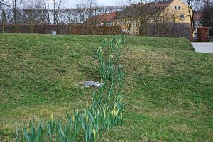 Fr&uuml;hling auf dem Berg