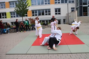 Sport frei! Die Nordth&uuml;ringer Lebenshilfe feierte heute wieder ihr j&auml;hrliches Sportfest in Nordhausen