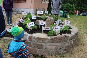 Spiralbeet zum Aktionstag bepflanzt