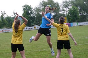 2. Handball-Wippercup