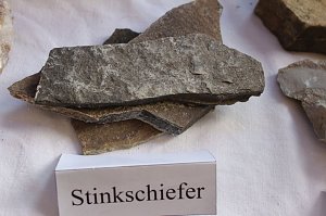 Das Kyffh&auml;userland bevor der Mensch da war