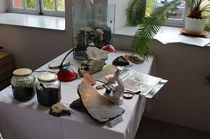 Das Kyffh&auml;userland bevor der Mensch da war