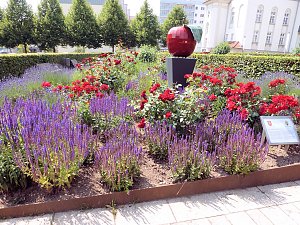Bl&uuml;tenpracht in Nordhausens Promenade