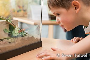 "Kleine Strolche" im Dschungelfieber