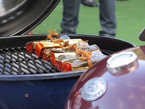 Sommerfest im Landratsamt