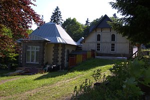 Peter Blei im St&auml;dtchen Schierke