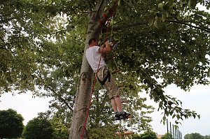 Sommerfest der Nordth&uuml;ringer Werkst&auml;tten in Nordhausen