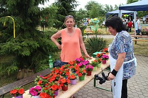 Sommerfest der Nordth&uuml;ringer Werkst&auml;tten in Nordhausen