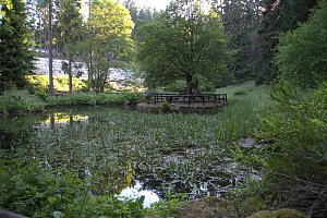 Unterwegs in Schierke