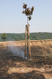 Feuer zwischen Klein- und Gro&szlig;furra