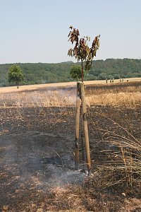 Feuer zwischen Klein- und Gro&szlig;furra