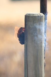 Feuer zwischen Klein- und Gro&szlig;furra