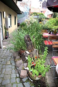 Ein Jahr mit neuer "Besatzung": Der Stepel
