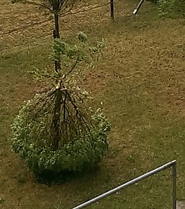 Bilder vom Unwetter