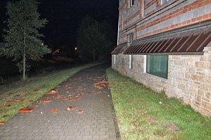 Schlosspark Sondershausen stellenweise regelrecht verw&uuml;stet. Stra&szlig;en wieder frei (Stand 23:40)...