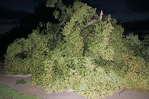 Schlosspark Sondershausen stellenweise regelrecht verw&uuml;stet. Stra&szlig;en wieder frei (Stand 23:40)...