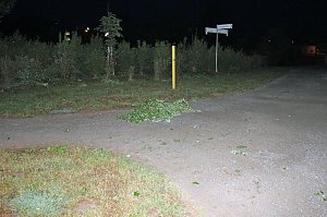 Schlosspark Sondershausen stellenweise regelrecht verw&uuml;stet. Stra&szlig;en wieder frei (Stand 23:40)...