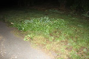Schlosspark Sondershausen stellenweise regelrecht verw&uuml;stet. Stra&szlig;en wieder frei (Stand 23:40)...