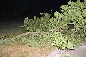 Schlosspark Sondershausen stellenweise regelrecht verw&uuml;stet. Stra&szlig;en wieder frei (Stand 23:40)...
