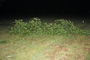 Schlosspark Sondershausen stellenweise regelrecht verw&uuml;stet. Stra&szlig;en wieder frei (Stand 23:40)...