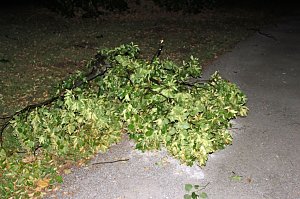 Schlosspark Sondershausen stellenweise regelrecht verw&uuml;stet. Stra&szlig;en wieder frei (Stand 23:40)...