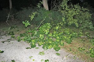 Schlosspark Sondershausen stellenweise regelrecht verw&uuml;stet. Stra&szlig;en wieder frei (Stand 23:40)...