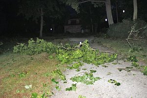 Schlosspark Sondershausen stellenweise regelrecht verw&uuml;stet. Stra&szlig;en wieder frei (Stand 23:40)...