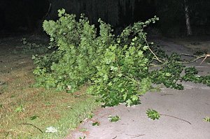 Schlosspark Sondershausen stellenweise regelrecht verw&uuml;stet. Stra&szlig;en wieder frei (Stand 23:40)...