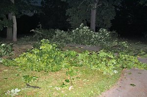 Schlosspark Sondershausen stellenweise regelrecht verw&uuml;stet. Stra&szlig;en wieder frei (Stand 23:40)...