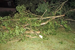 Schlosspark Sondershausen stellenweise regelrecht verw&uuml;stet. Stra&szlig;en wieder frei (Stand 23:40)...
