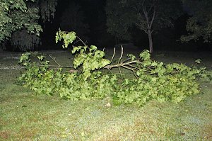 Schlosspark Sondershausen stellenweise regelrecht verw&uuml;stet. Stra&szlig;en wieder frei (Stand 23:40)...