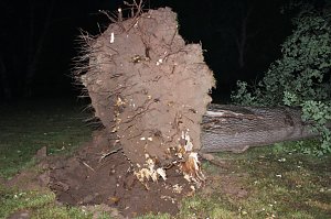 Schlosspark Sondershausen stellenweise regelrecht verw&uuml;stet. Stra&szlig;en wieder frei (Stand 23:40)...