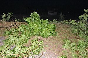 Schlosspark Sondershausen stellenweise regelrecht verw&uuml;stet. Stra&szlig;en wieder frei (Stand 23:40)...