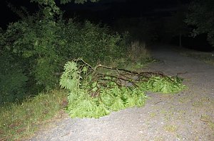 Schlosspark Sondershausen stellenweise regelrecht verw&uuml;stet. Stra&szlig;en wieder frei (Stand 23:40)...